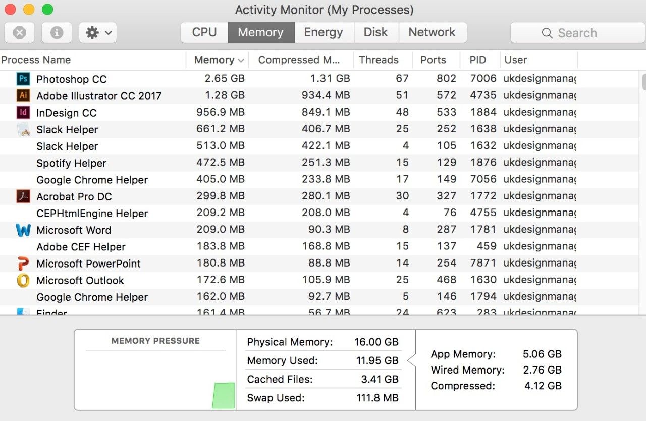 Captura de tela da janela do Monitor de Atividades (Meus Processos) em um Mac